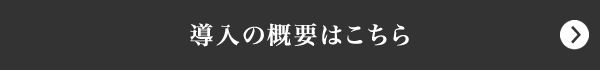 導入の概要はこちら