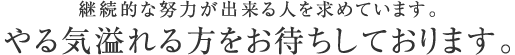 継続的な努力ができる人を求めています